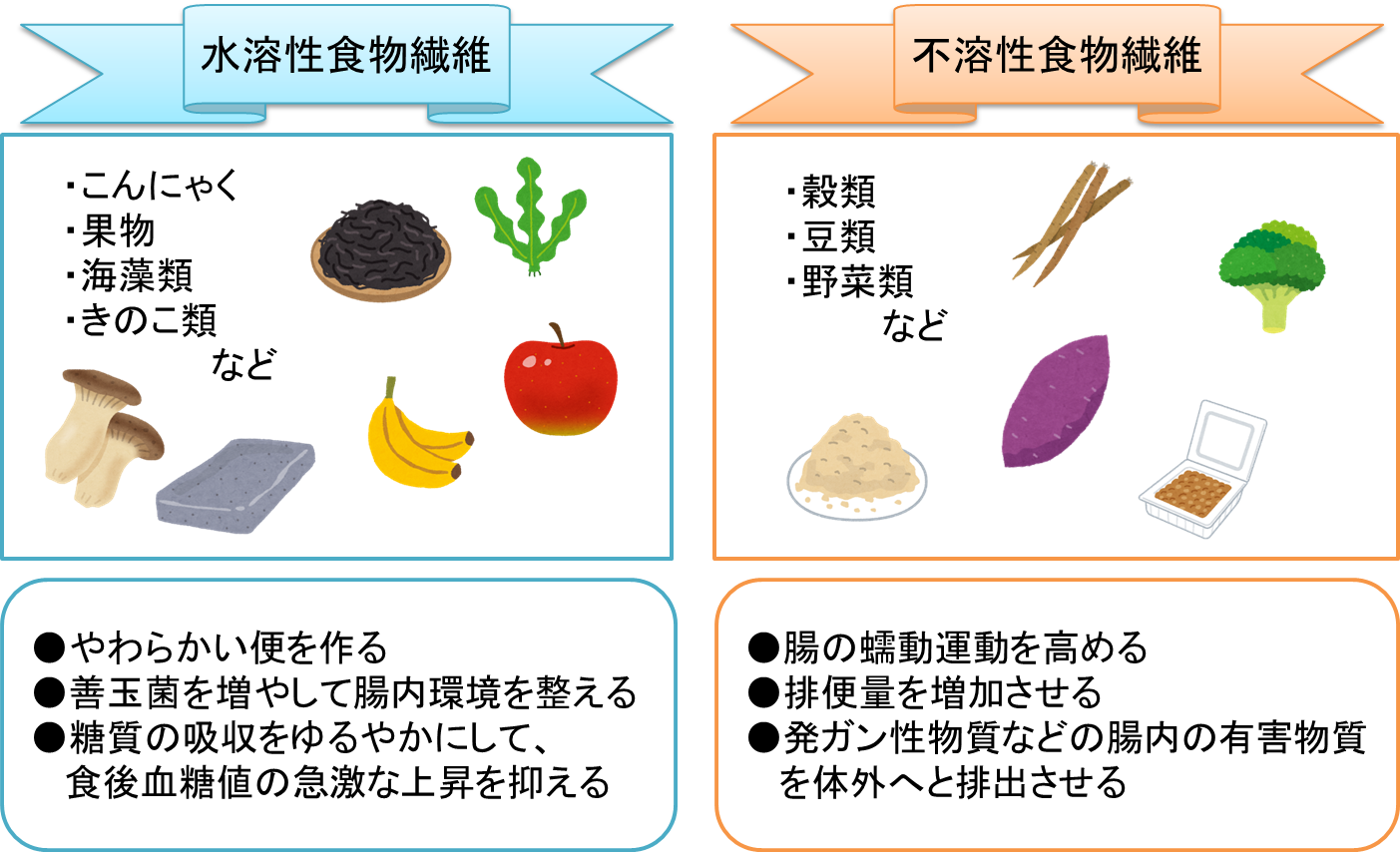 便秘の時に効果的な食物繊維とは 江戸川橋胃腸肛門クリニック